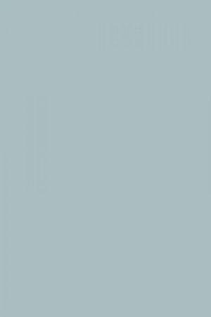 FARROW AND BALL LULWORTH BLUE NO. 89 PAINT
